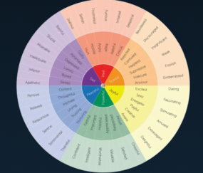 Caroline Anne Psychotherapy